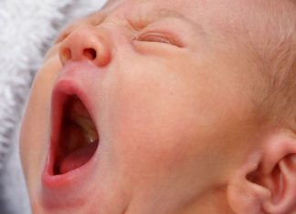 Schemat żywienia niemowląt – dlaczego maluch nie powinien jeść słonych potraw? Schemat żywienia niemowląt - dlaczego maluch nie powinien jeść słonych potraw?