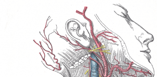 Ból tętnicy szyjnej – jakie są objawy zapalenia tętnicy szyjnej