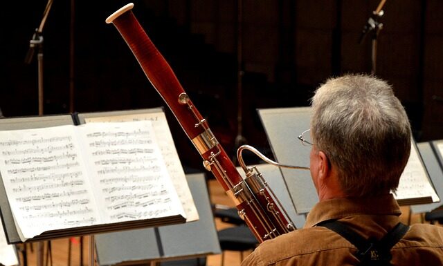 Jak wygląda fagot? Jak wygląda fagot?