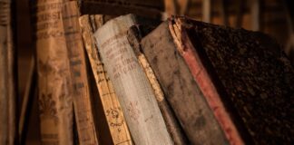 Na czym polega Biblioteka w Biedronce?