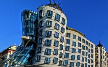 Jak działa tańczący kaktus? Jak działa tańczący kaktus?