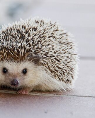 Co zrobić żeby pozbyć się kolki?