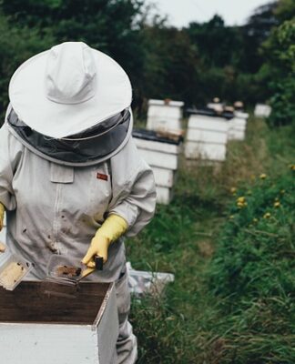 Czym się różnią kaski rowerowe?