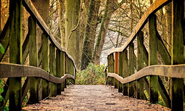 Co kupić dla dziewczynki 3 letniej? Co kupić dla dziewczynki 3 letniej?