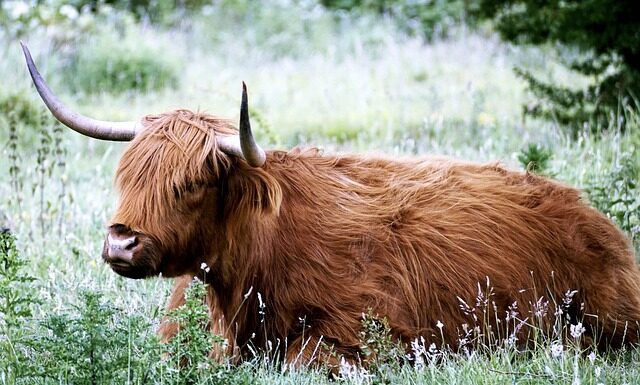 Jak się nazywa góralski kapelusz? Jak się nazywa góralski kapelusz?