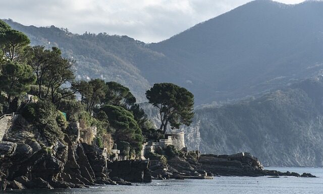 Ile kosztuje klej Super Glue? Ile kosztuje klej Super Glue?