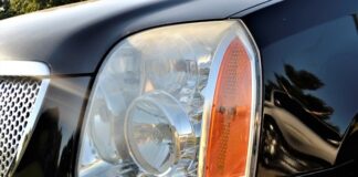 Czy można zraszać kaktusy? Czy można zraszać kaktusy?