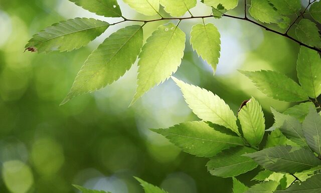 Jakie państwo zaczyna się na literę K? Jakie państwo zaczyna się na literę K?