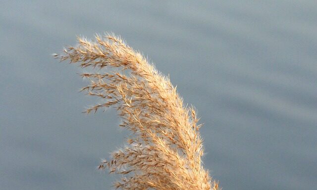 Czym się różnią śpioszki od pajacyka? Czym się różnią śpioszki od pajacyka?