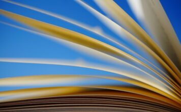 Gdzie trzymać zestawy LEGO?