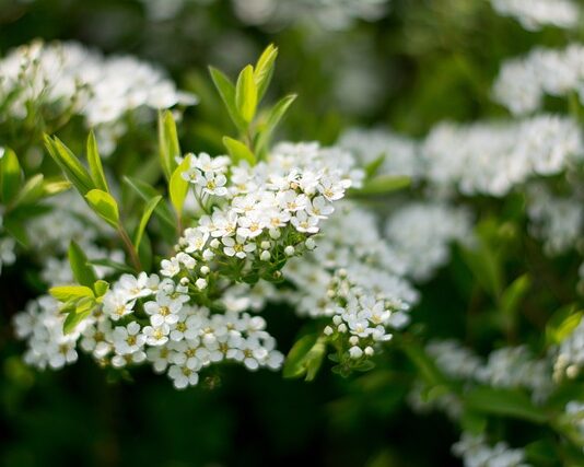 Kiedy kaszka do mleka?