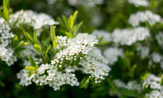 Kiedy kaszka do mleka? Kiedy kaszka do mleka?