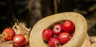 Jak nosić kapelusz zima?