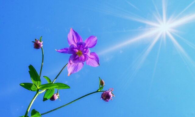 Czy można chodzić z bronią?