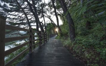 Jak dostać darmowe części lego?