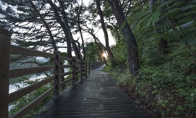 Jak dostać darmowe części lego?