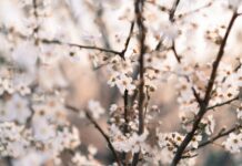 Ile osób gra w hokeja?