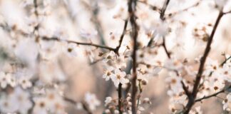 Ile osób gra w hokeja? Ile osób gra w hokeja?