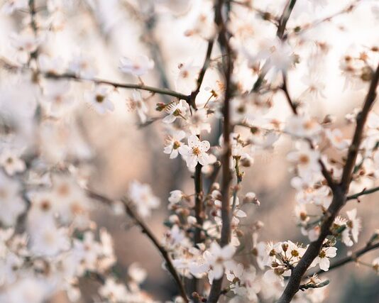 Ile osób gra w hokeja? Ile osób gra w hokeja?