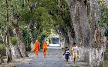 Czy chodziki dla dzieci są zdrowe?