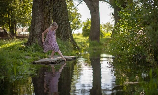 Ile krabów straciła Ukraina?