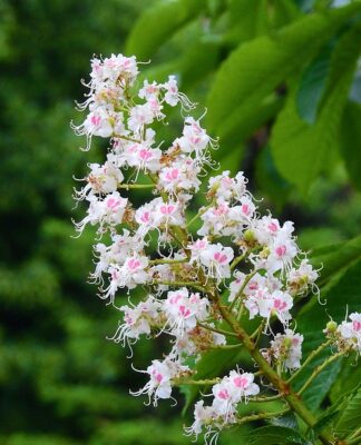 Co zostało usunięte z matury z chemii?