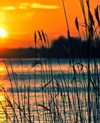 Jak zrobić instrumenty muzyczne z dziećmi?