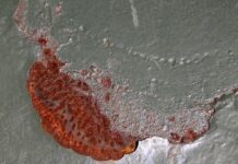 Jak wygląda wysokie podbicie? Jak wygląda wysokie podbicie?