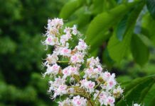 Czy na maturze sprawdzają kalkulatory?