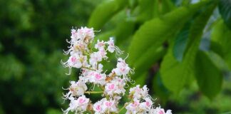 Czy na maturze sprawdzają kalkulatory? Czy na maturze sprawdzają kalkulatory?