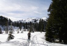 Ile odciągnąć mleka na jedno karmienie?