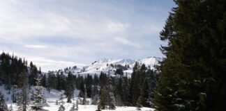 Ile odciągnąć mleka na jedno karmienie?