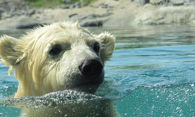 Jak się pływa najłatwiej?