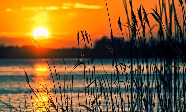 Jakie instrumenty dla 3 latka? Jakie instrumenty dla 3 latka?