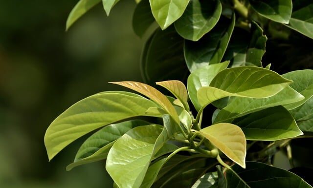 Jaką wysokość hulajnogi do wzrostu? Jaką wysokość hulajnogi do wzrostu?