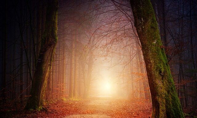 Czy z 5 można strzelić gola? Czy z 5 można strzelić gola?