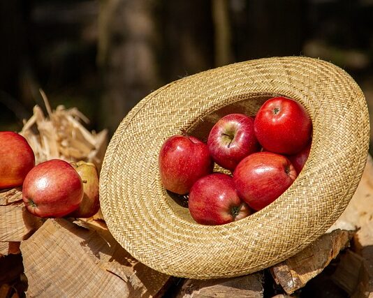 Do czego pasuje kapelusz panama?