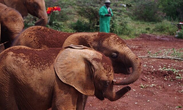 Co to syndrom sieroty? Co to syndrom sieroty?