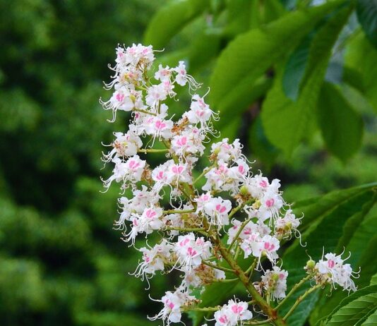 Ile trzeba mieć żeby zdać maturę? Ile trzeba mieć żeby zdać maturę?
