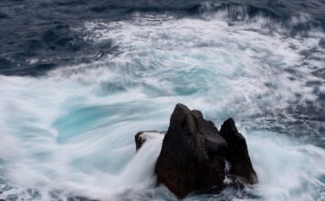 Gdzie sprawdzać ceny LEGO?