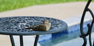 Ile czasu z niemowlakiem na basenie? Ile czasu z niemowlakiem na basenie?