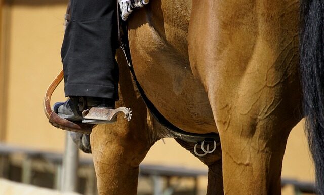 Co zakładać na body? Co zakładać na body?