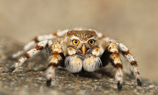 Jak poznać podróbkę LEGO? Jak poznać podróbkę LEGO?