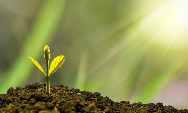 Jak stymulować rozwój niemowlaka? Jak stymulować rozwój niemowlaka?