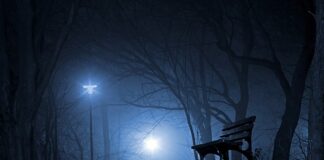 Czy Polska ma snajperów?