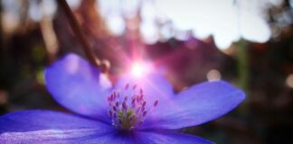 W jakie dni jest najmniej ludzi w Suntago? W jakie dni jest najmniej ludzi w Suntago?