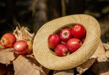 Jak nosić kapelusz Słomkowy? Jak nosić kapelusz Słomkowy?