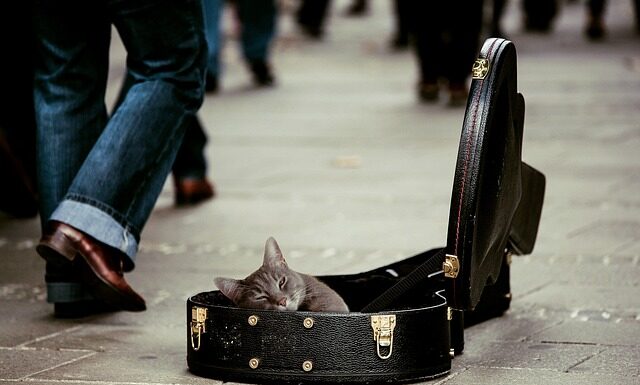 Jak zrobić gitarę z kartonu? Jak zrobić gitarę z kartonu?