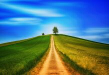 Czy od chodzenia boso można się przeziębić? Czy od chodzenia boso można się przeziębić?