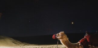 Czym się różnią dudy od kobzy?